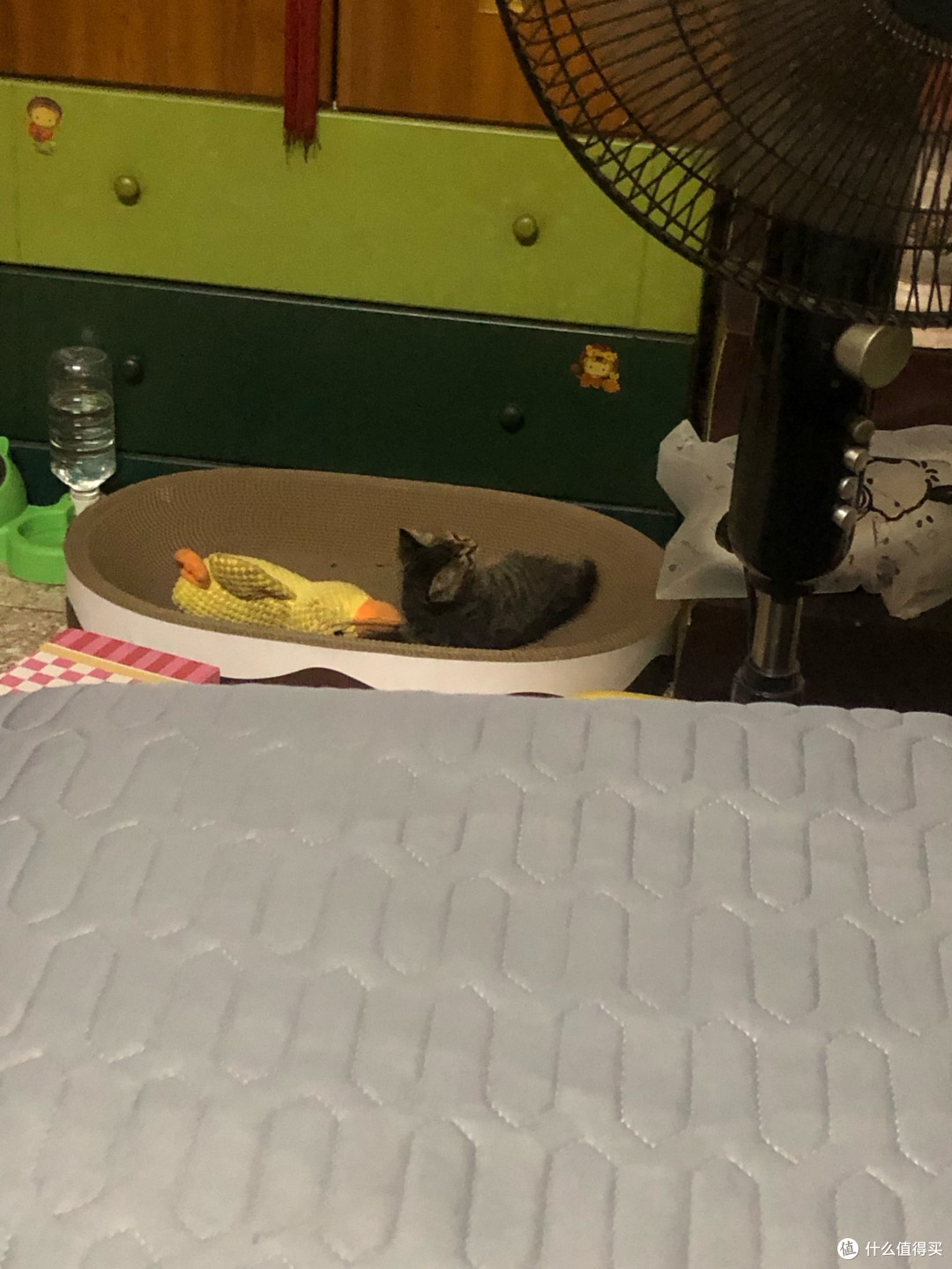 小户型猫爬架：实木质感与实用兼备