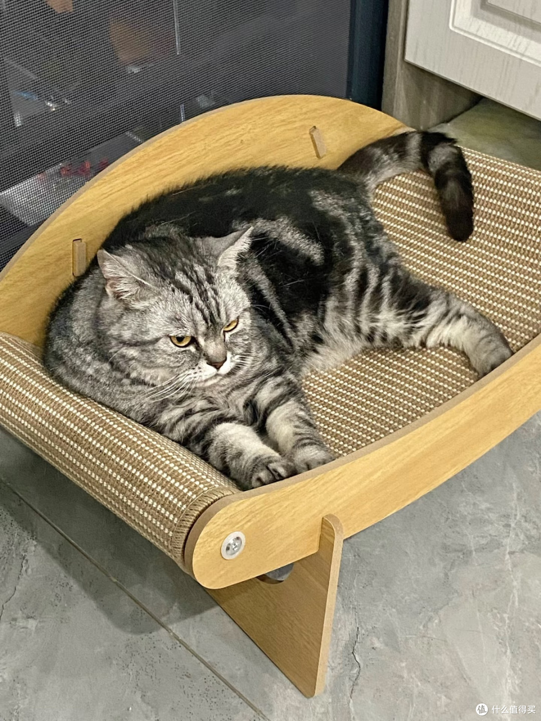 透气不闷汗✨木质剑麻猫窝解救怕热小猫咪