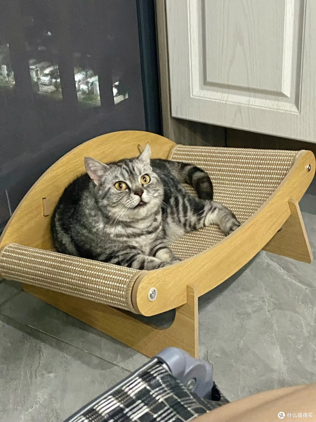 透气不闷汗✨木质剑麻猫窝解救怕热小猫咪