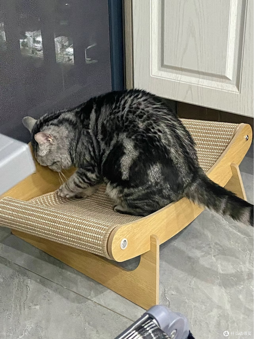 透气不闷汗✨木质剑麻猫窝解救怕热小猫咪