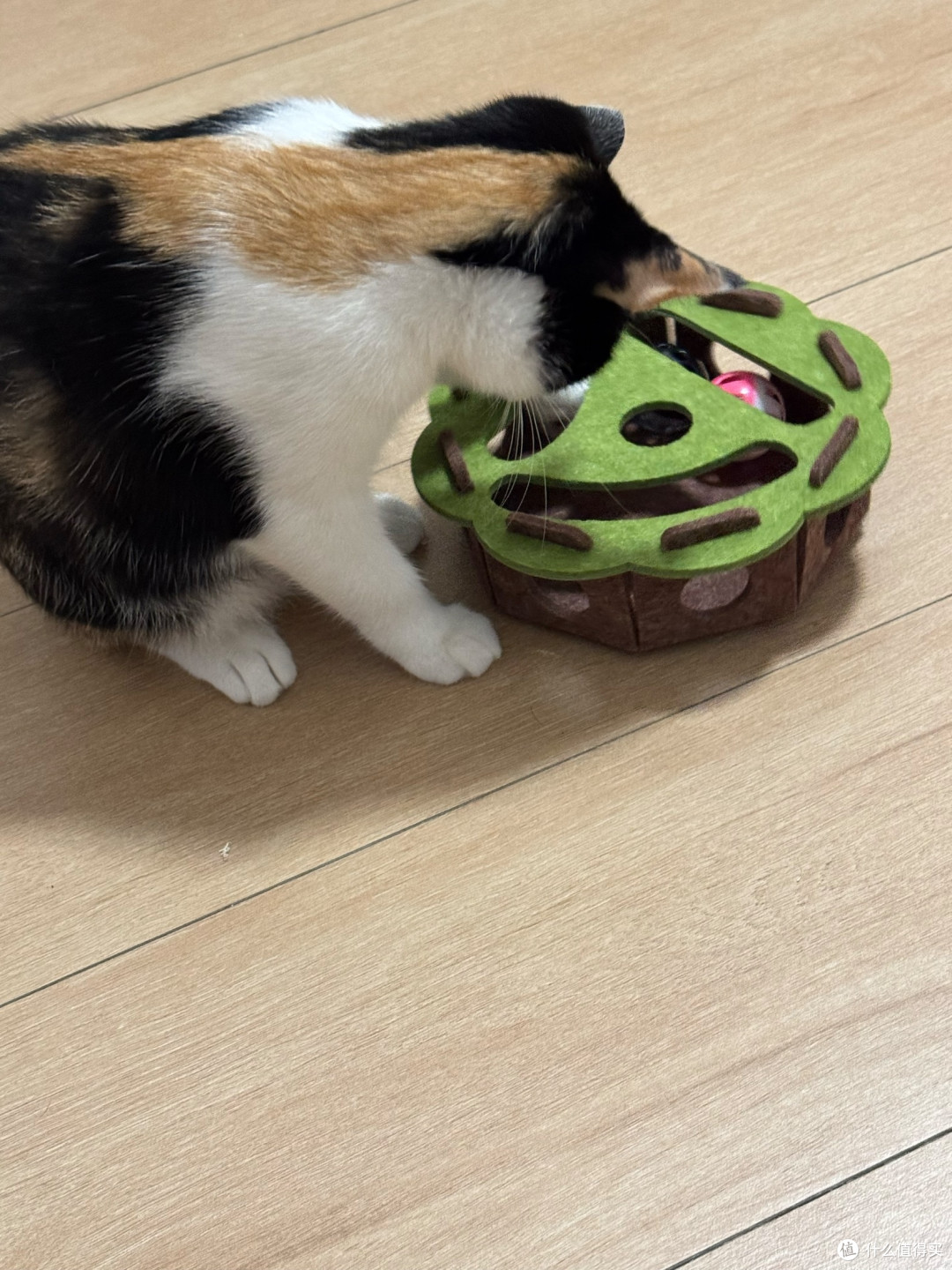 橡胶木猫爬架：小户型的垂直空间解决方案