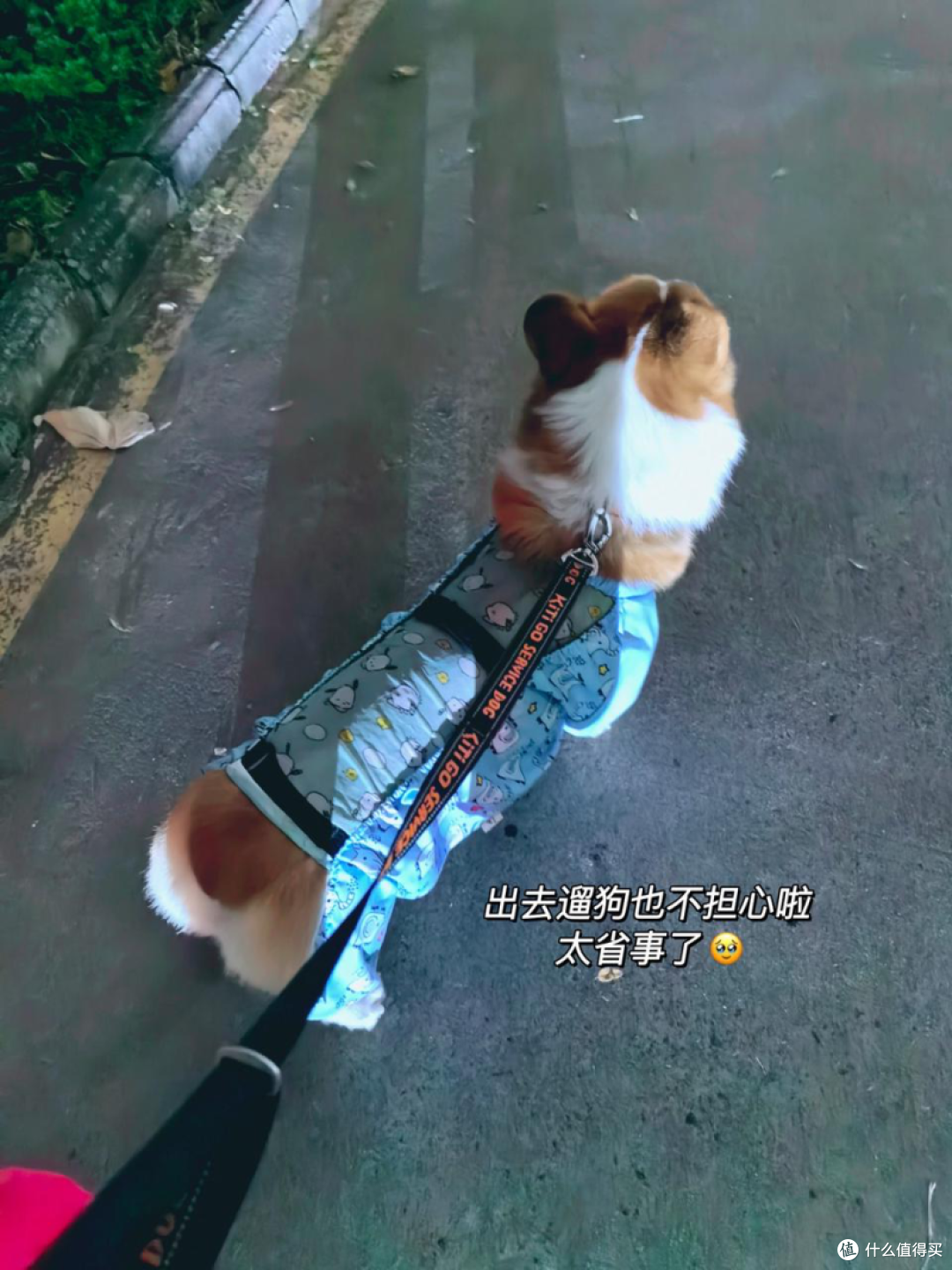 配图