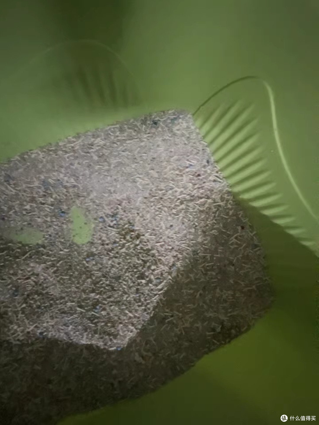 得力Bembam豆腐膨润土混合猫砂，铲屎省心款