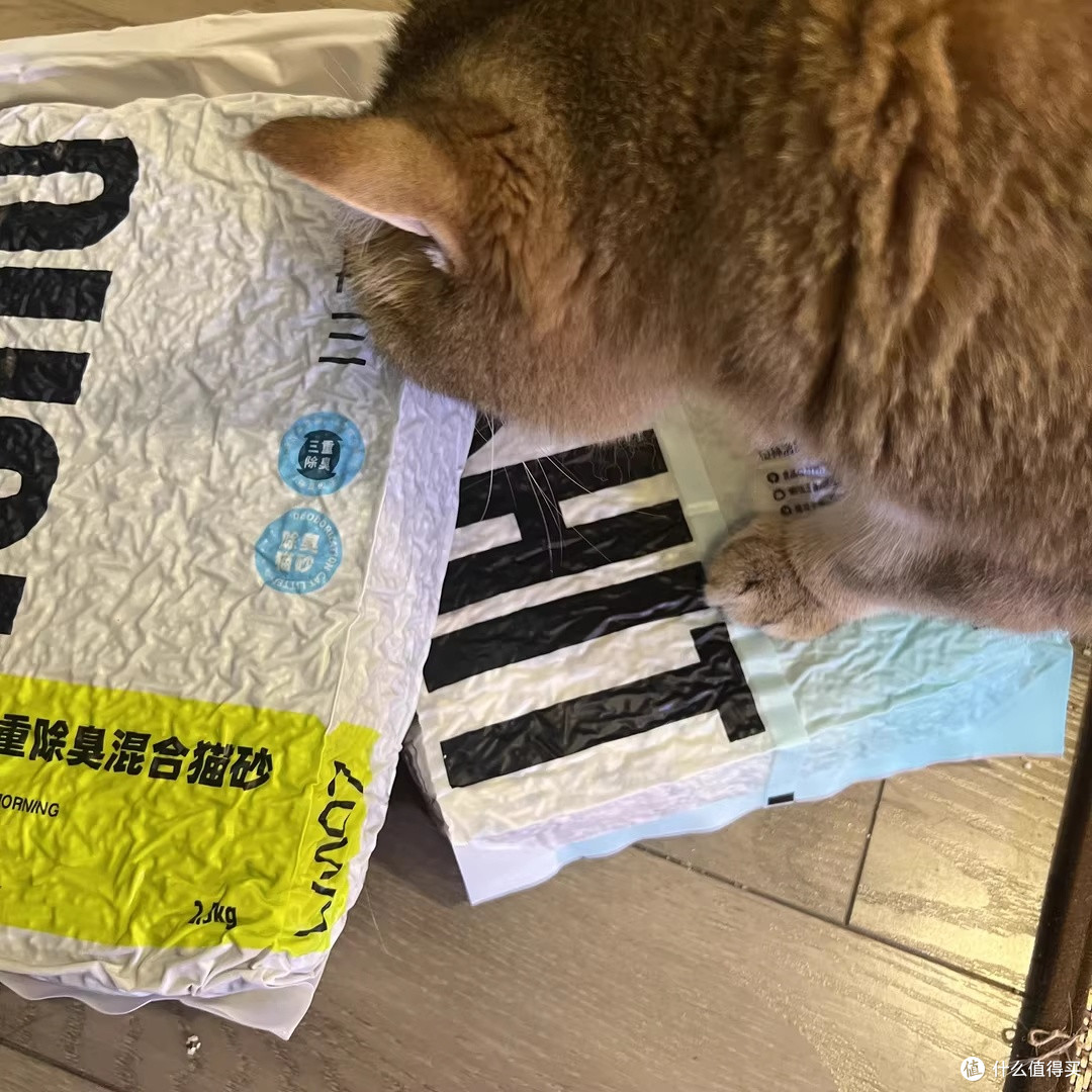 再三三重除臭猫砂：养猫家庭的救味好物