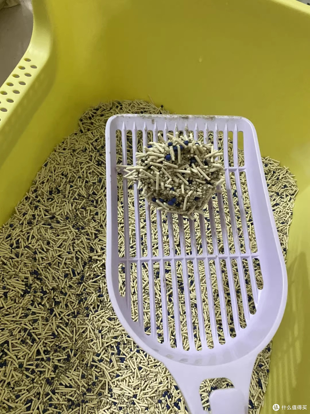 再三三重除臭猫砂：小户型养猫终于不用捂鼻子了
