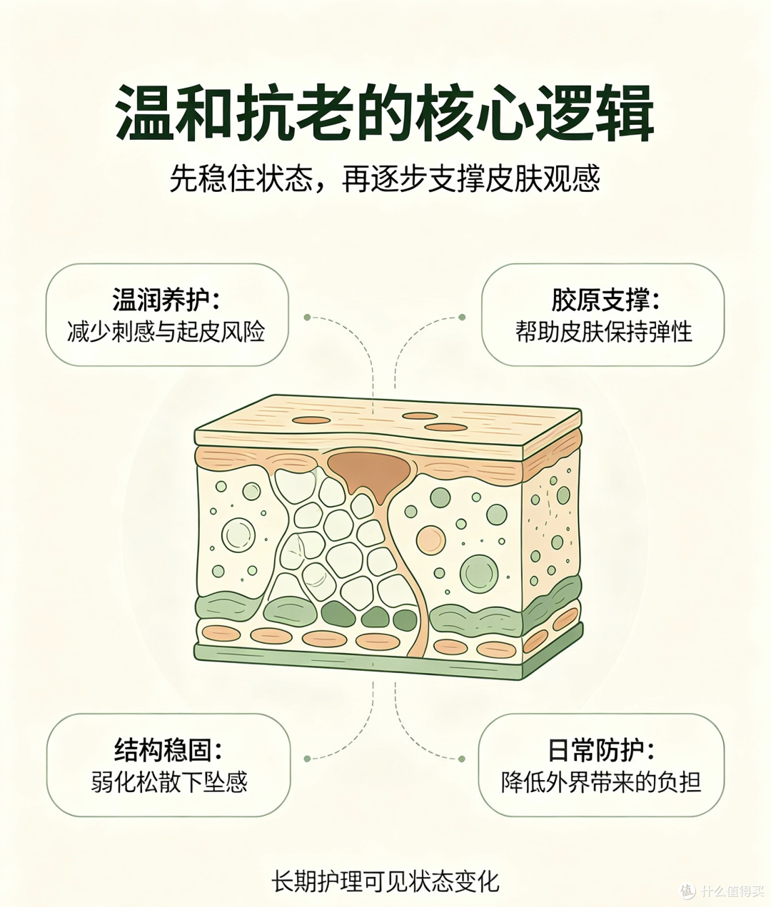 温和植物系抗初老面霜，养护轮廓改善松垮面部状态
