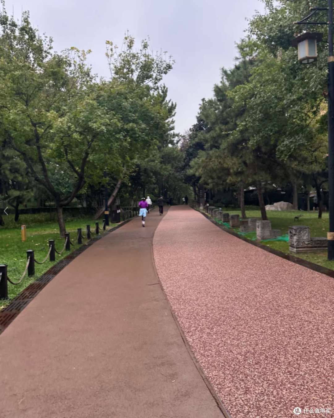 经常跑步的人，身体这6个器官最受益。