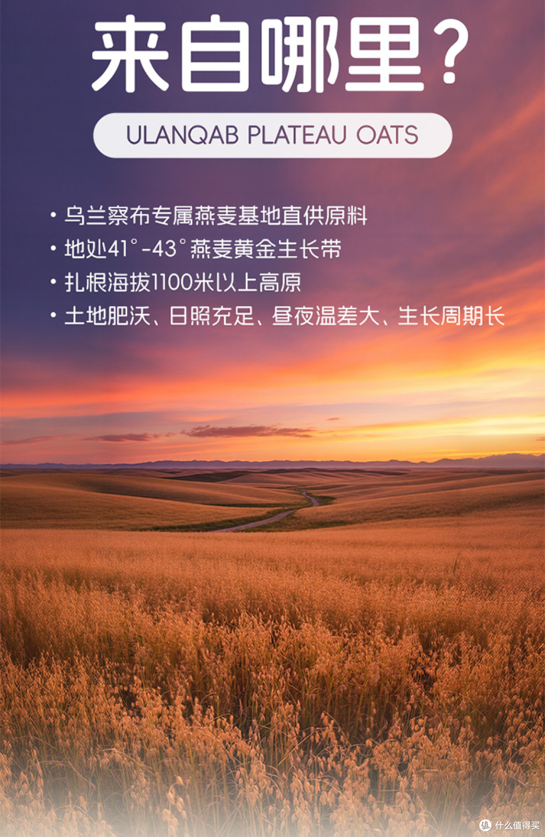 非常麦VS OATLY燕麦奶测评：谁才是更懂你的植物基之选？