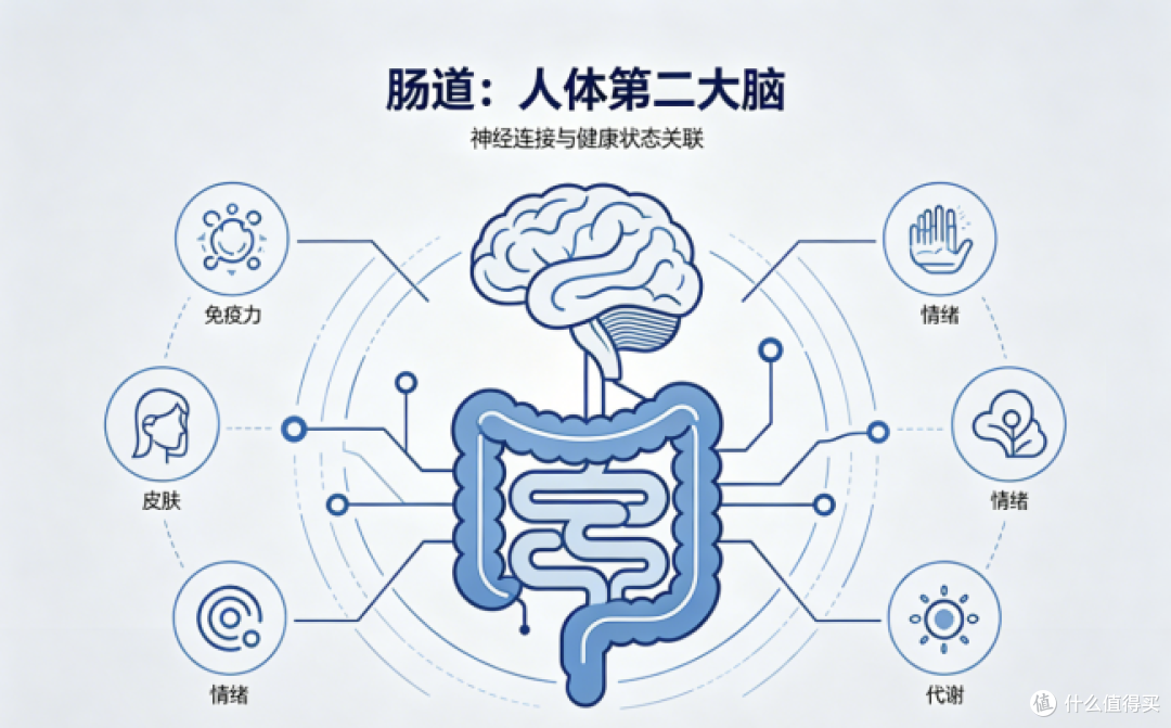 lifespace益倍适益生菌:健康,从守护肠胃开始