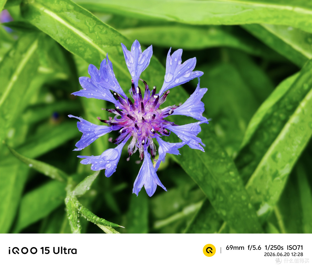 第五代骁龙8至尊版加持，iQOO 15 Ultra带您畅享极客新体验！