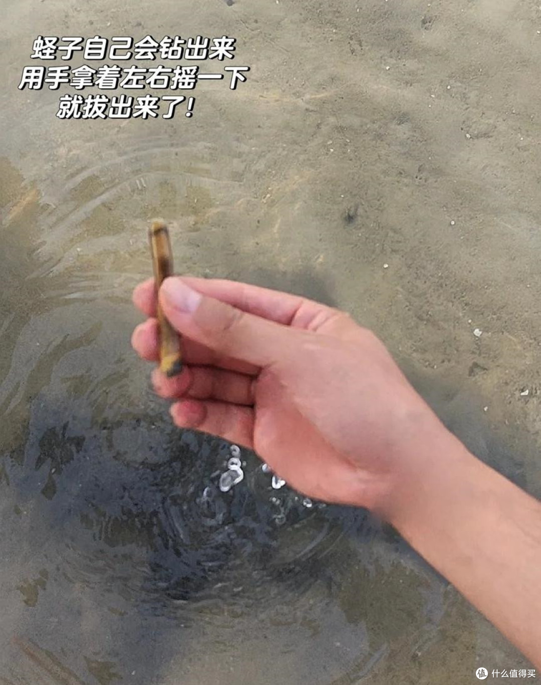 尖叫的瓶子真是yyds！设计师都没有想到，一个瓶子会成为家居神器
