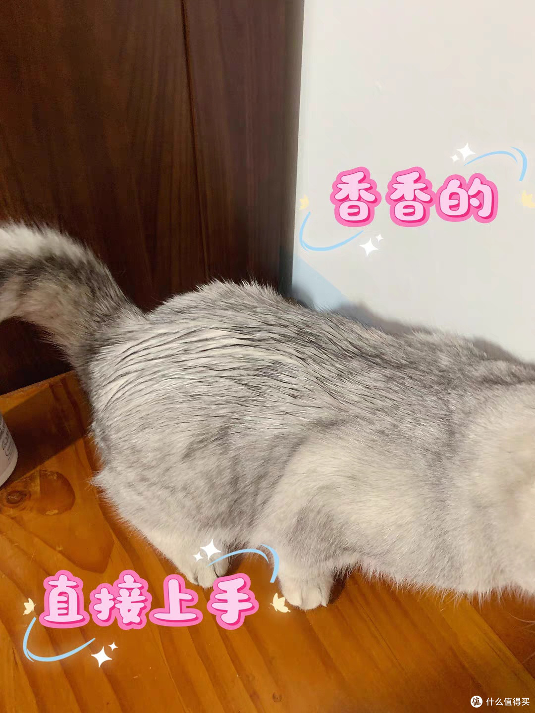 温和免洗慕斯,呵护宠物肌肤