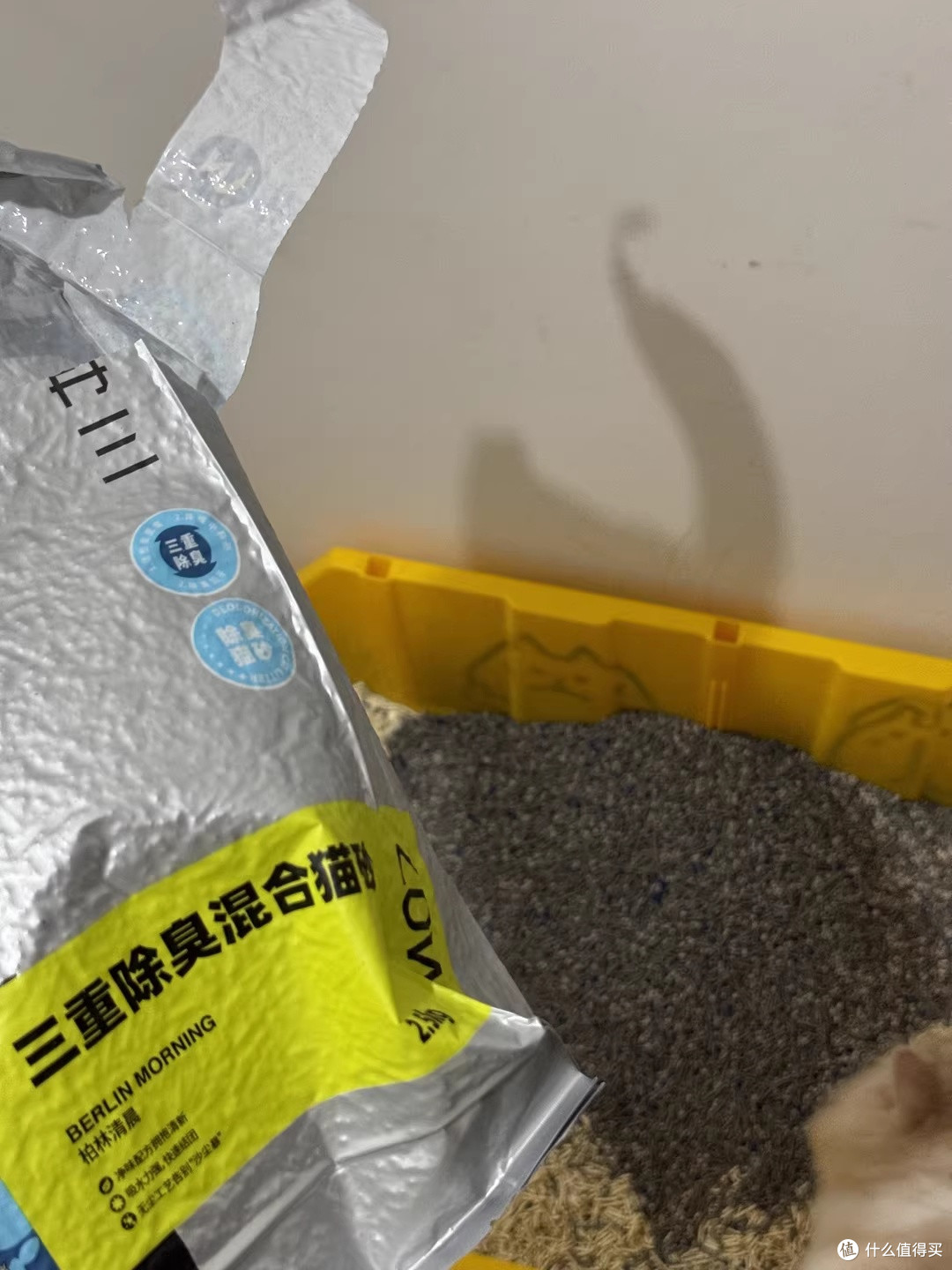 小户型养猫终于不用捂鼻子，再三三重除臭猫砂