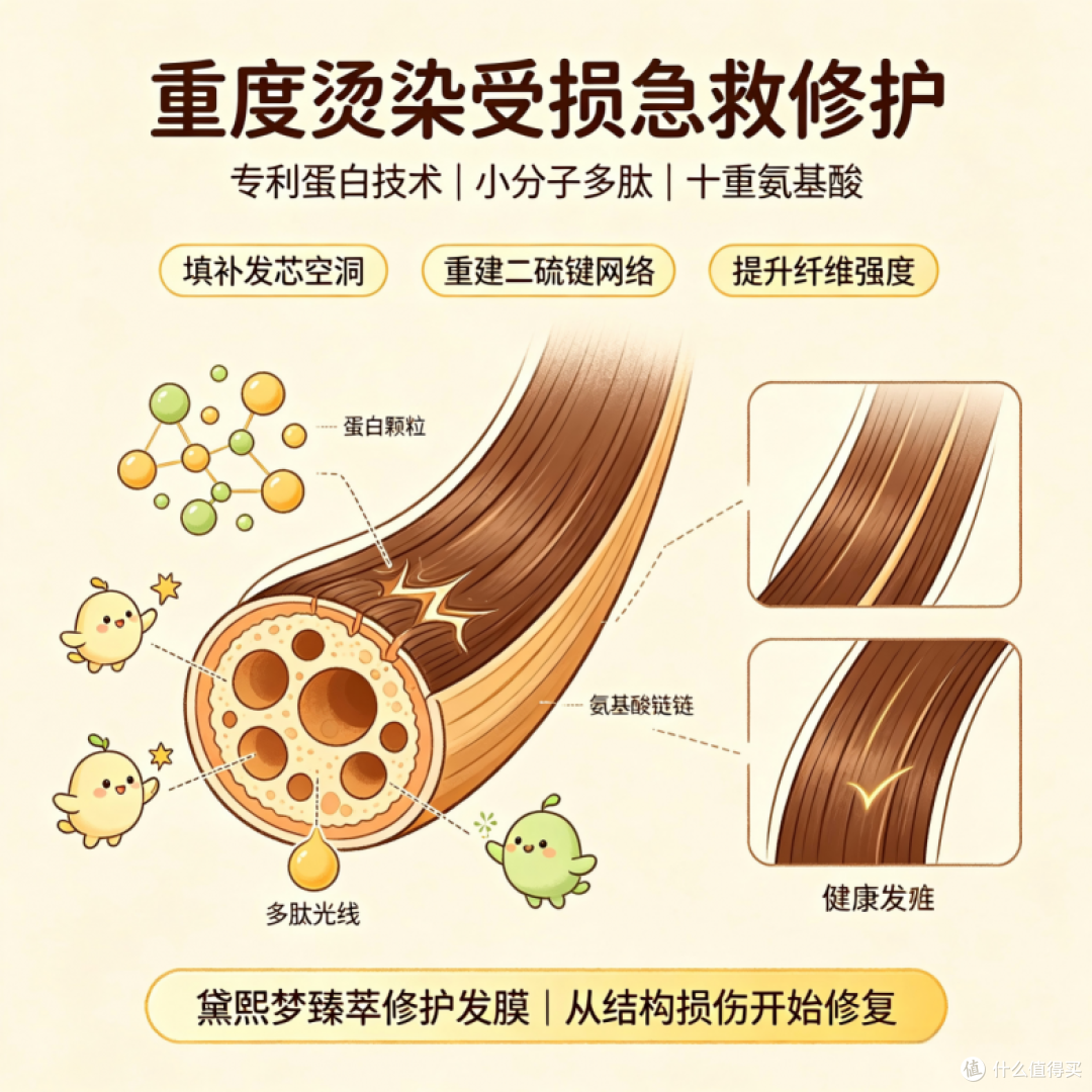 发膜什么牌子效果好？2026年全发质适配发膜推荐：改善效果实测