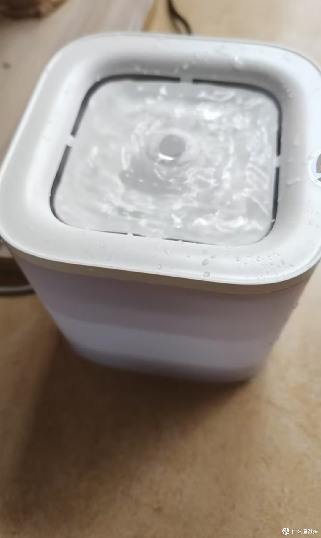 喜新厌旧猫咪专属！小佩SOLO SE暖白饮水机