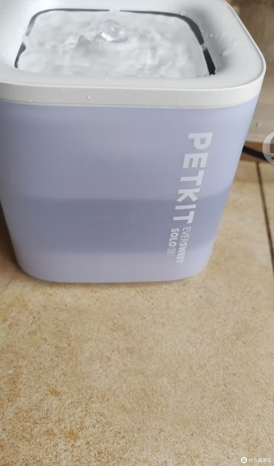 喜新厌旧猫咪专属！小佩SOLO SE暖白饮水机