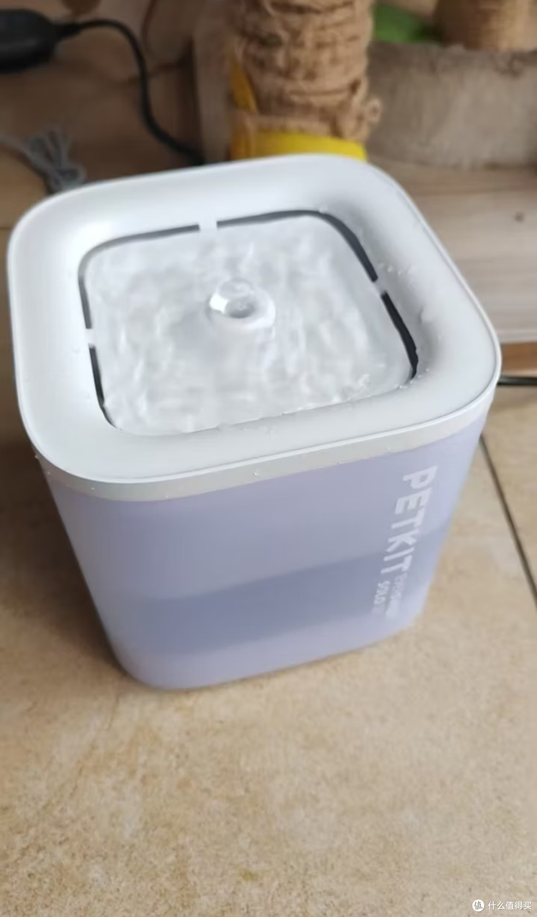 喜新厌旧猫咪专属！小佩SOLO SE暖白饮水机