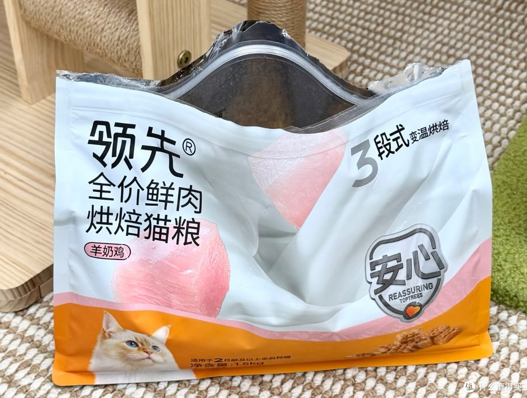 猫的"生活质感"，一半在粮碗里。