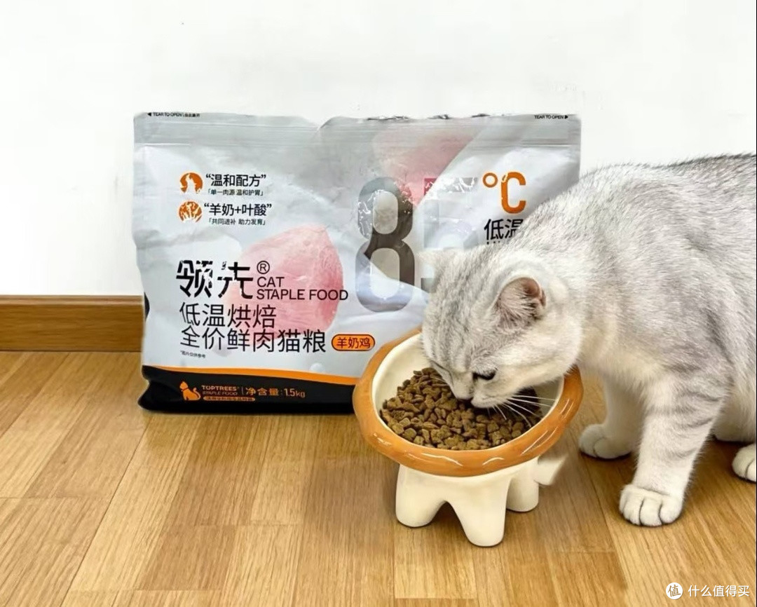 猫的"生活质感"，一半在粮碗里。