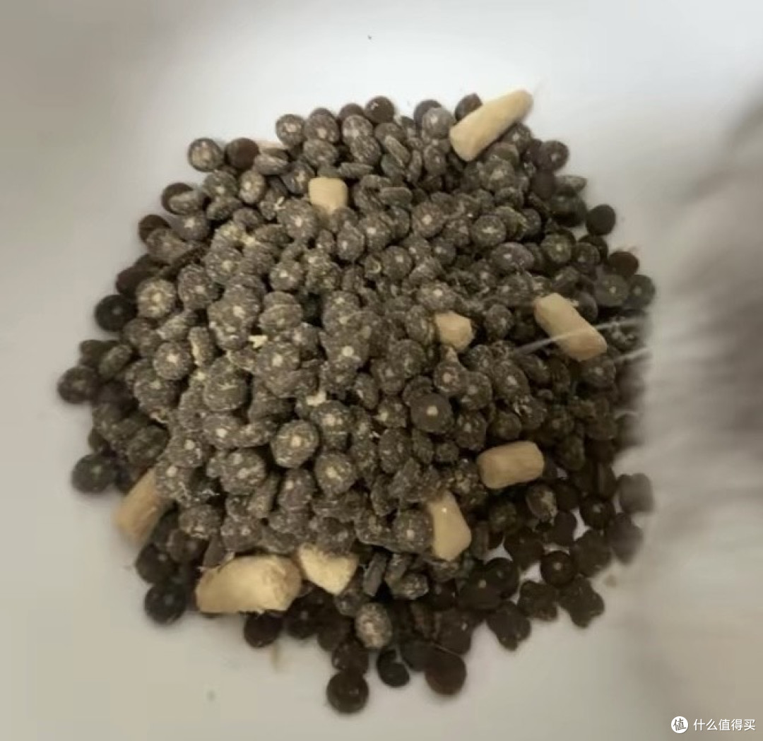 高动物原料猫粮，肠胃友好