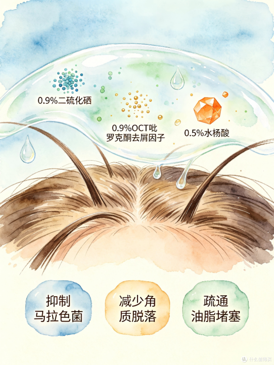 2026头屑头痒高口碑洗发水推荐公认好用的去屑止痒洗发水真实测评