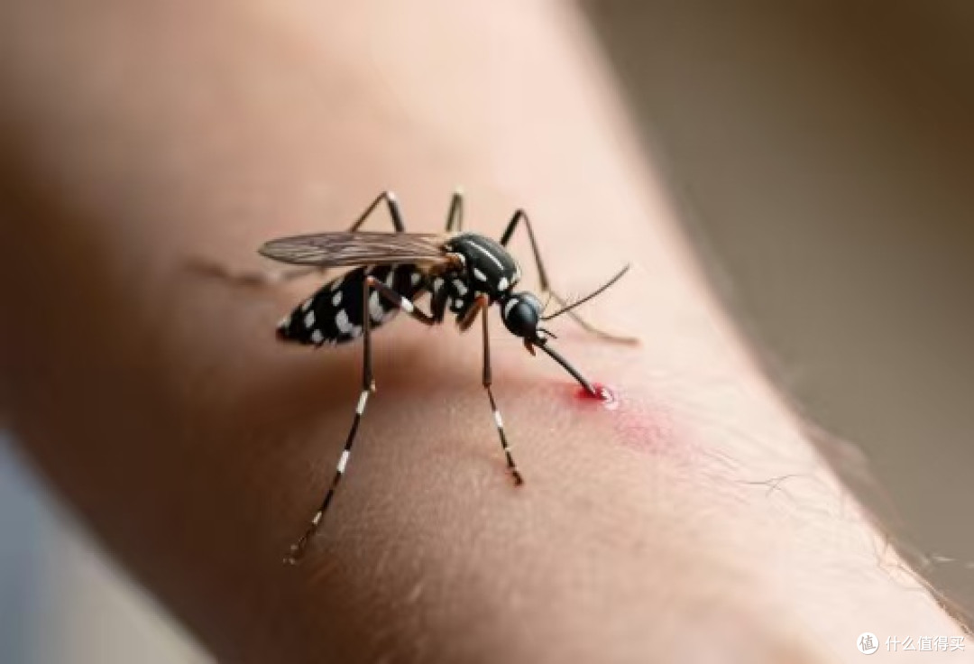 室内户外双在线！雷达欧护驱蚊喷雾承包整夏无蚊舒适