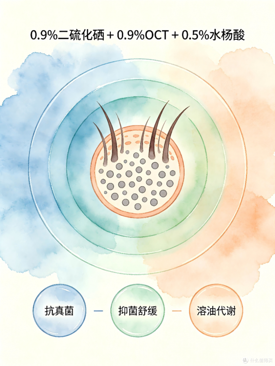 2026十大公认好用的去屑止痒洗发水盘点，口碑最好的洗发水实测