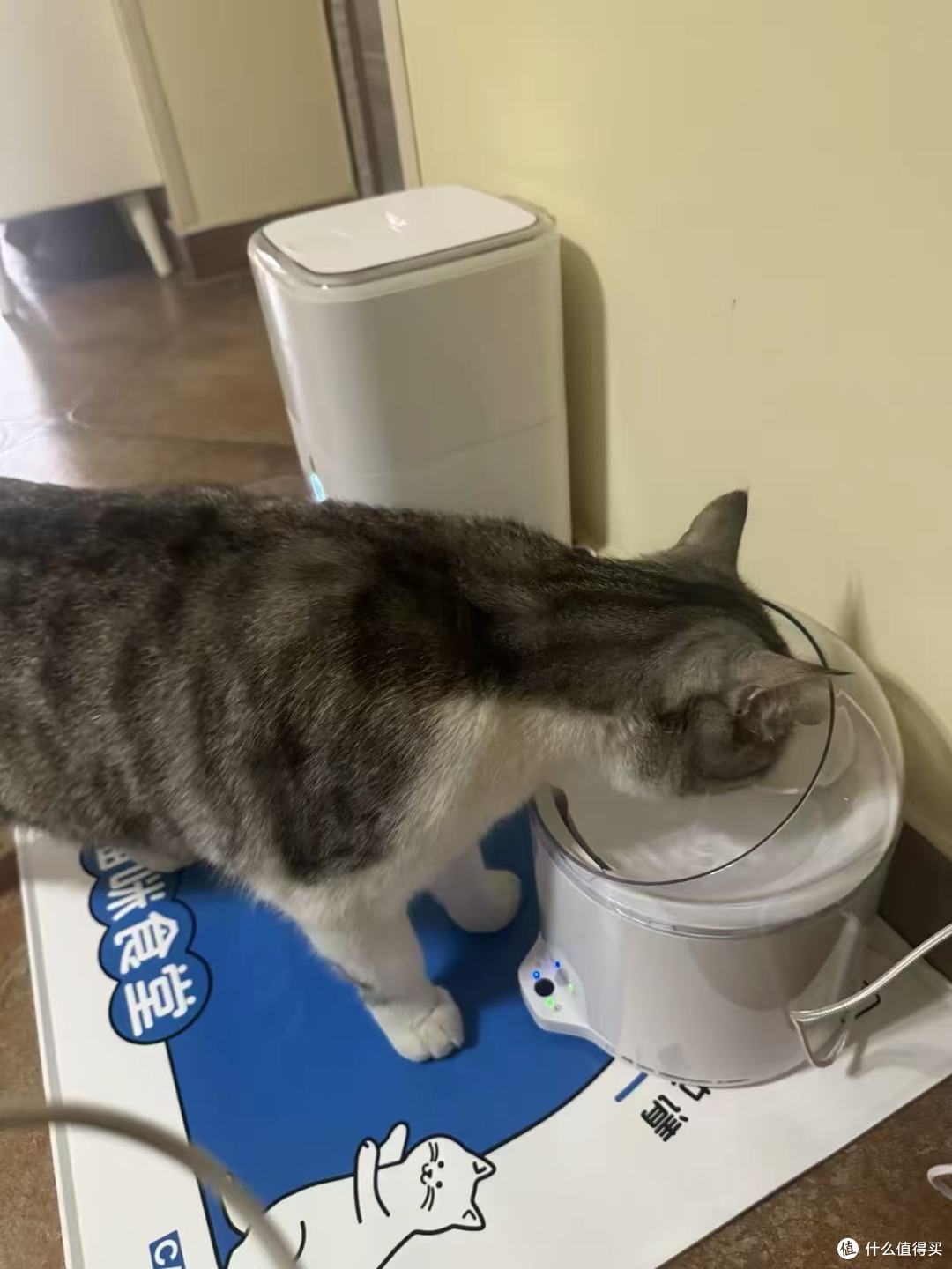 🛒CATLINK超滤饮水机实测，百元级净水方案值不值？
