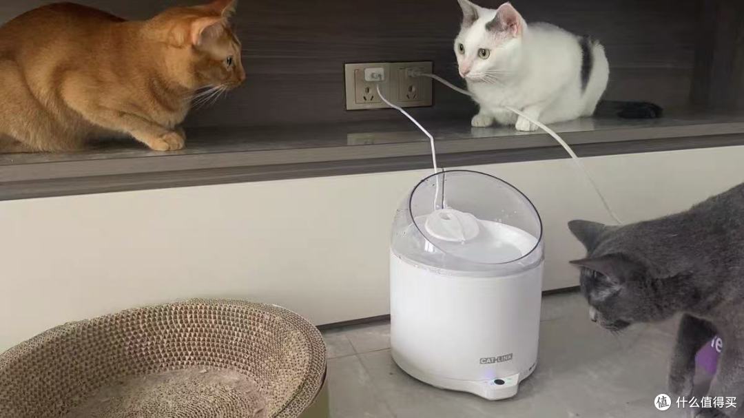 🛒CATLINK超滤饮水机实测，百元级净水方案值不值？