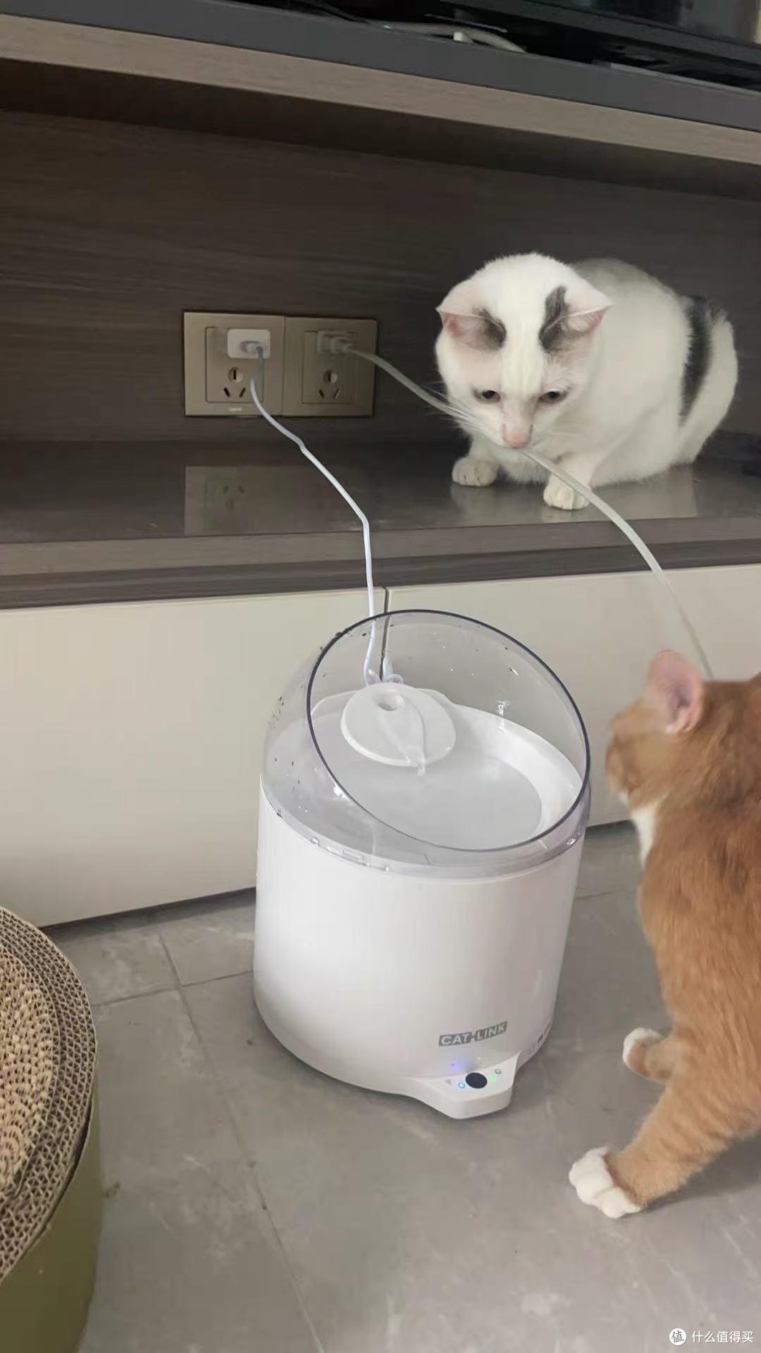 🛒CATLINK超滤饮水机实测，百元级净水方案值不值？