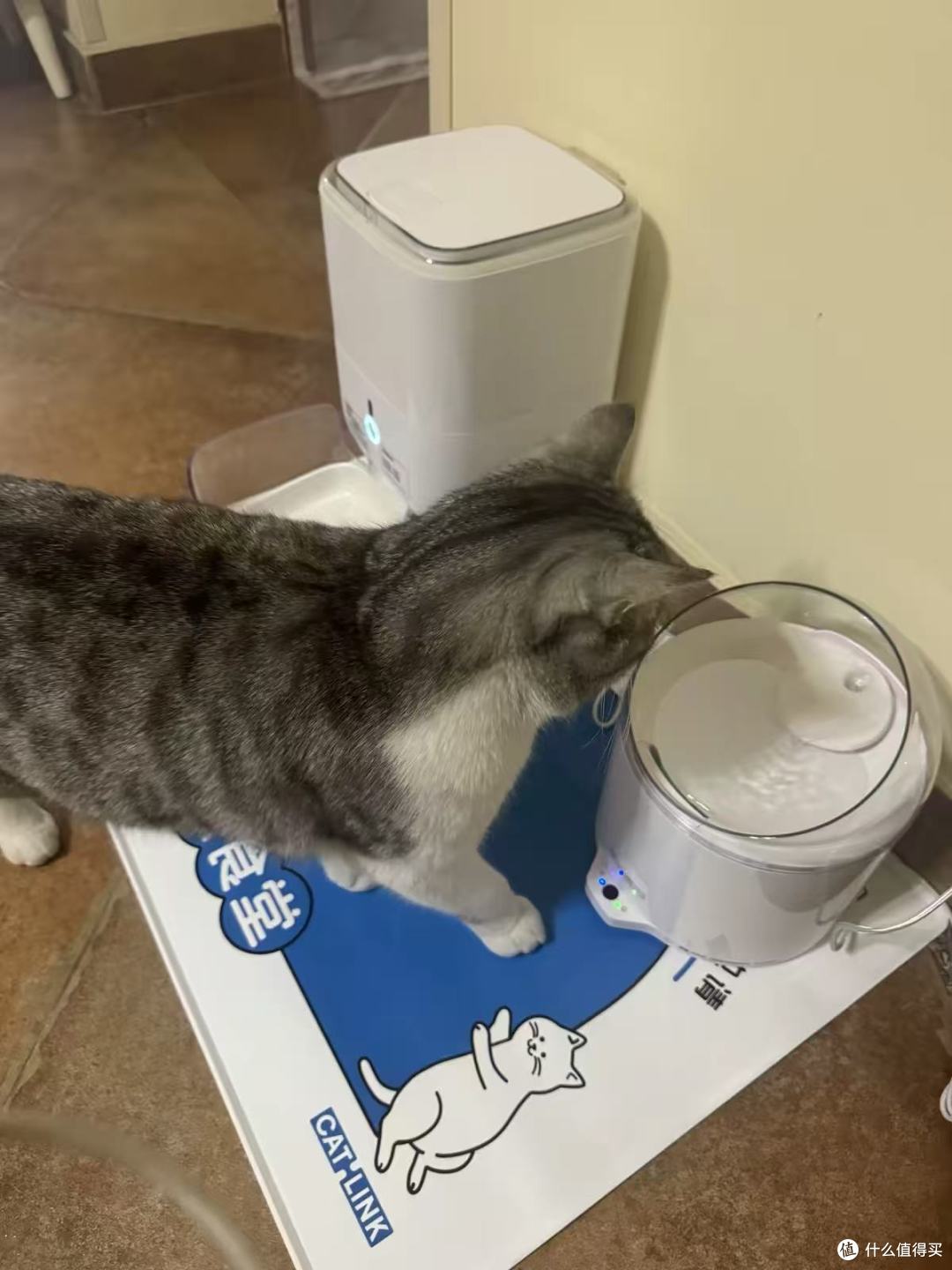 🛒CATLINK超滤饮水机实测，百元级净水方案值不值？