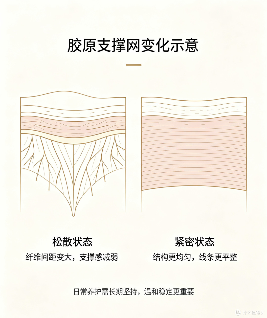 垮脸期胶原养护思路，紧致轮廓改善松弛