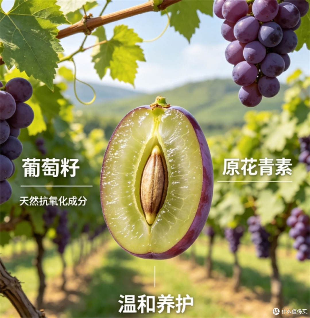 国产葡萄籽哪个牌子好？2026内服葡萄籽整理，平价高纯抗氧