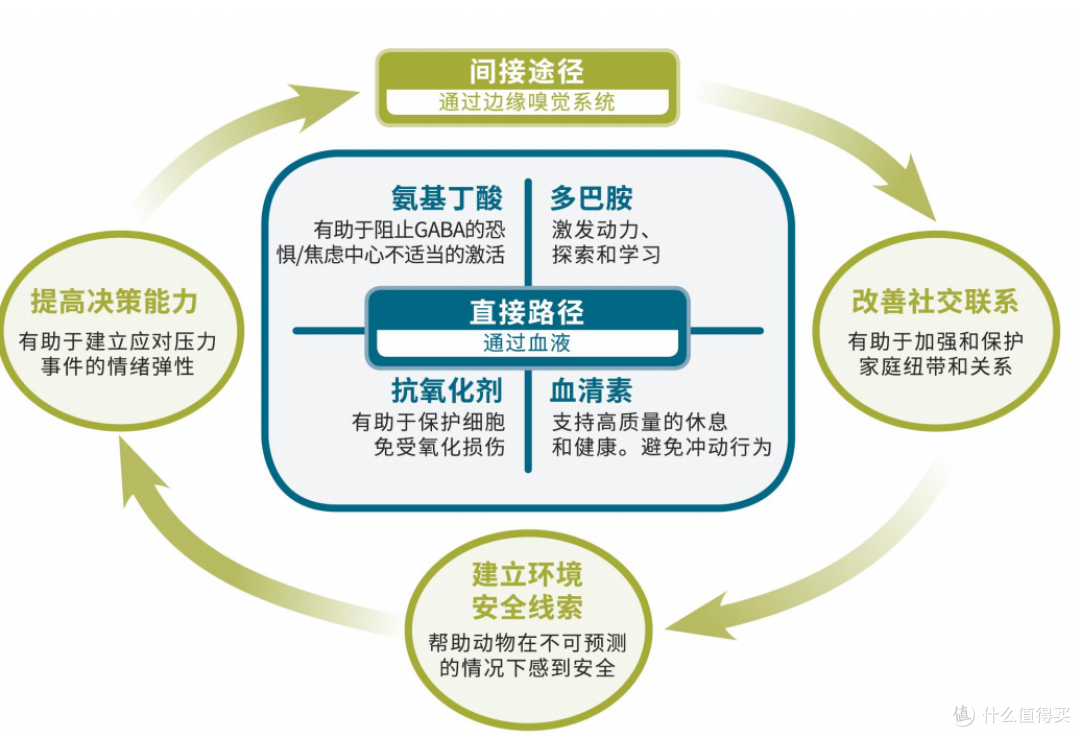 2026宠物乘车狂躁、看病应激、洗澡吹毛怎么办?四家成分安全品牌