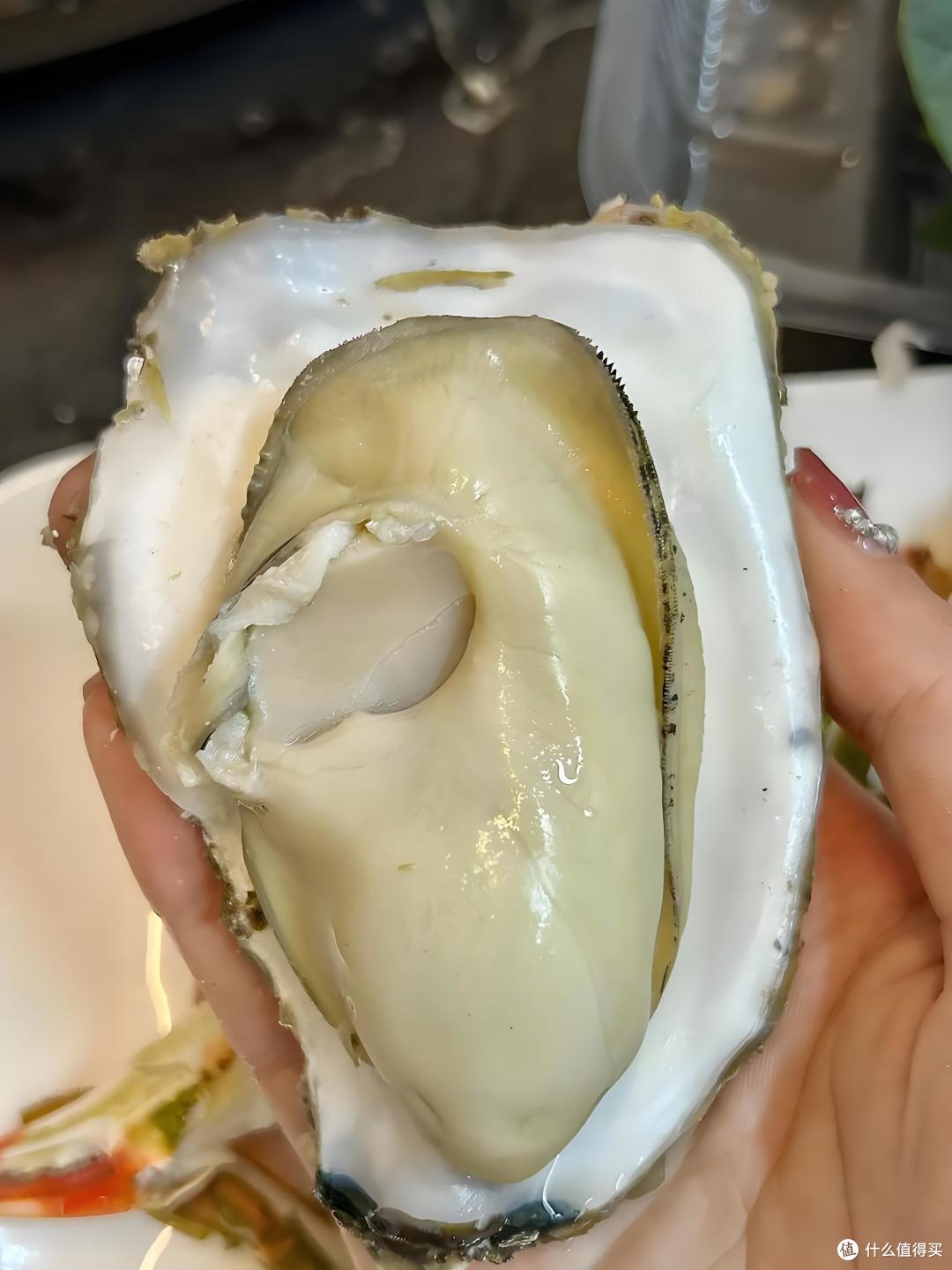青岛哪些海鲜又便宜又好吃?一斤才几块钱,有这么便宜吗?