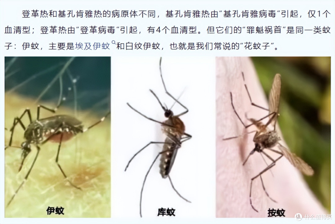 灭蚊灯好还是蚊香好？室内灭蚊灯哪个牌子好？