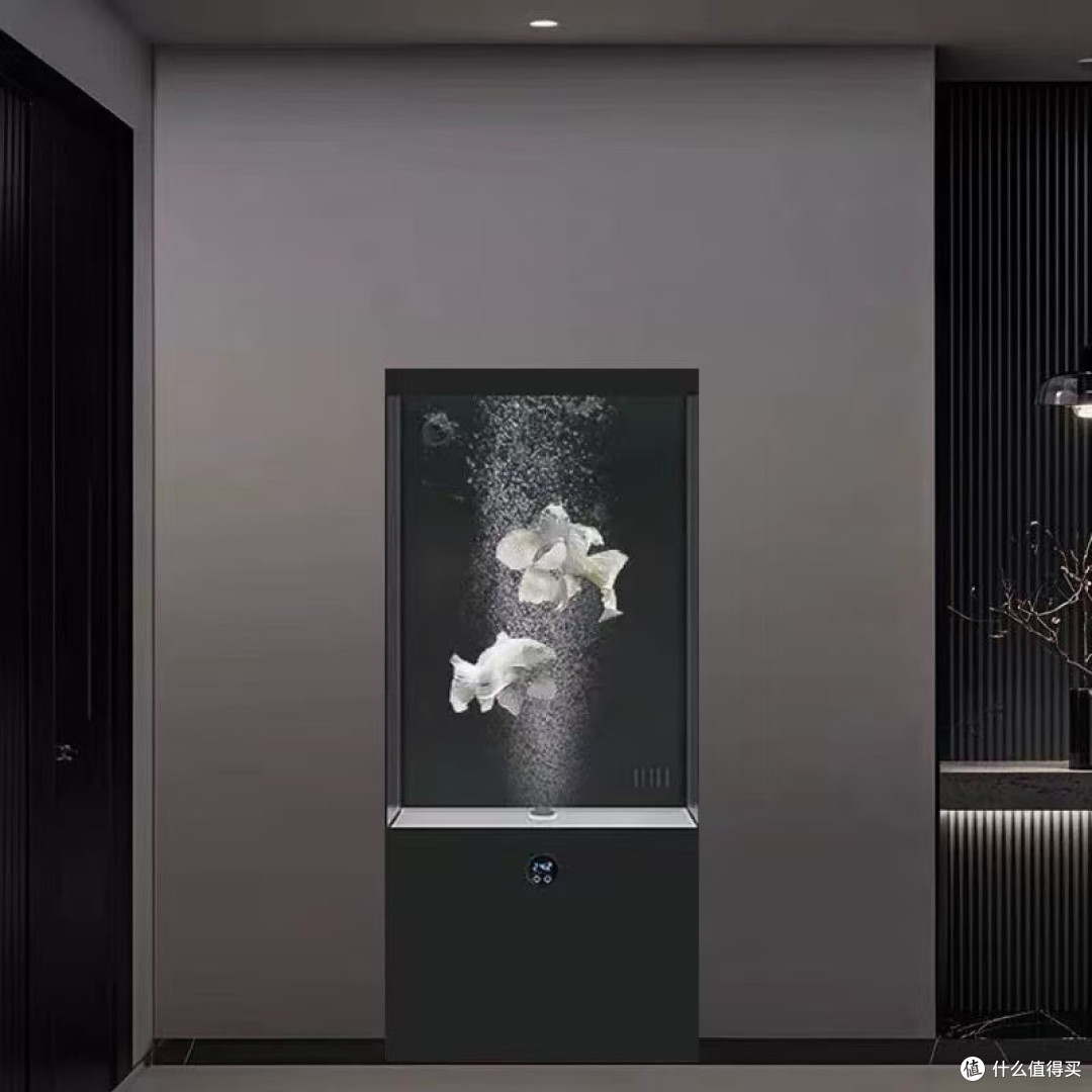 真免换水！懒人养鱼快乐水