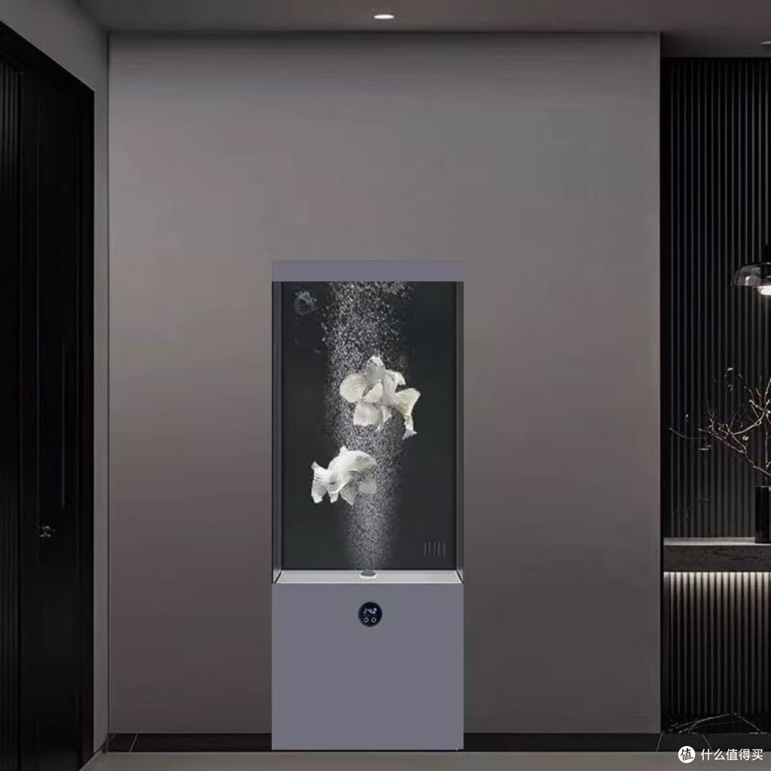 真免换水！懒人养鱼快乐水