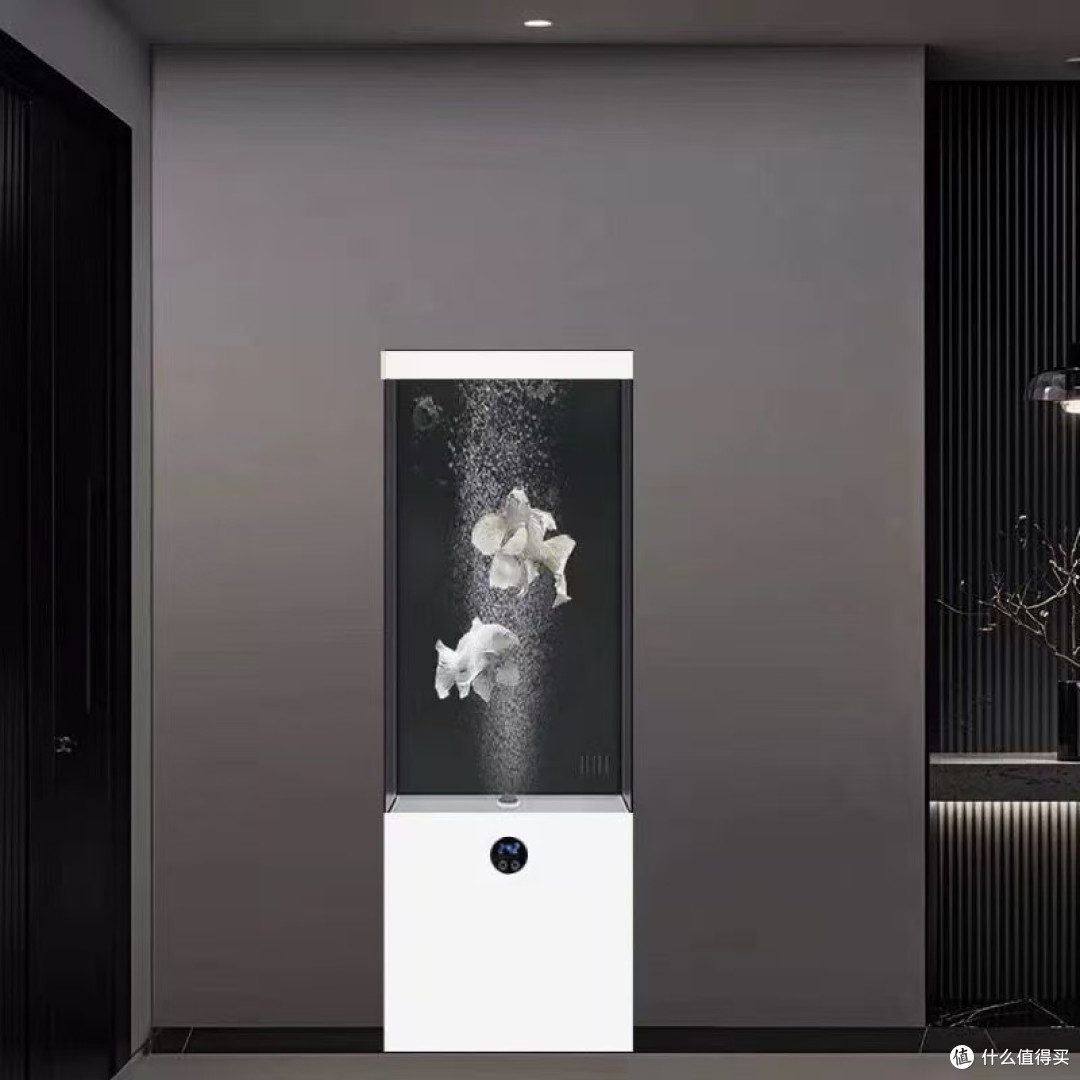 真免换水！懒人养鱼快乐水