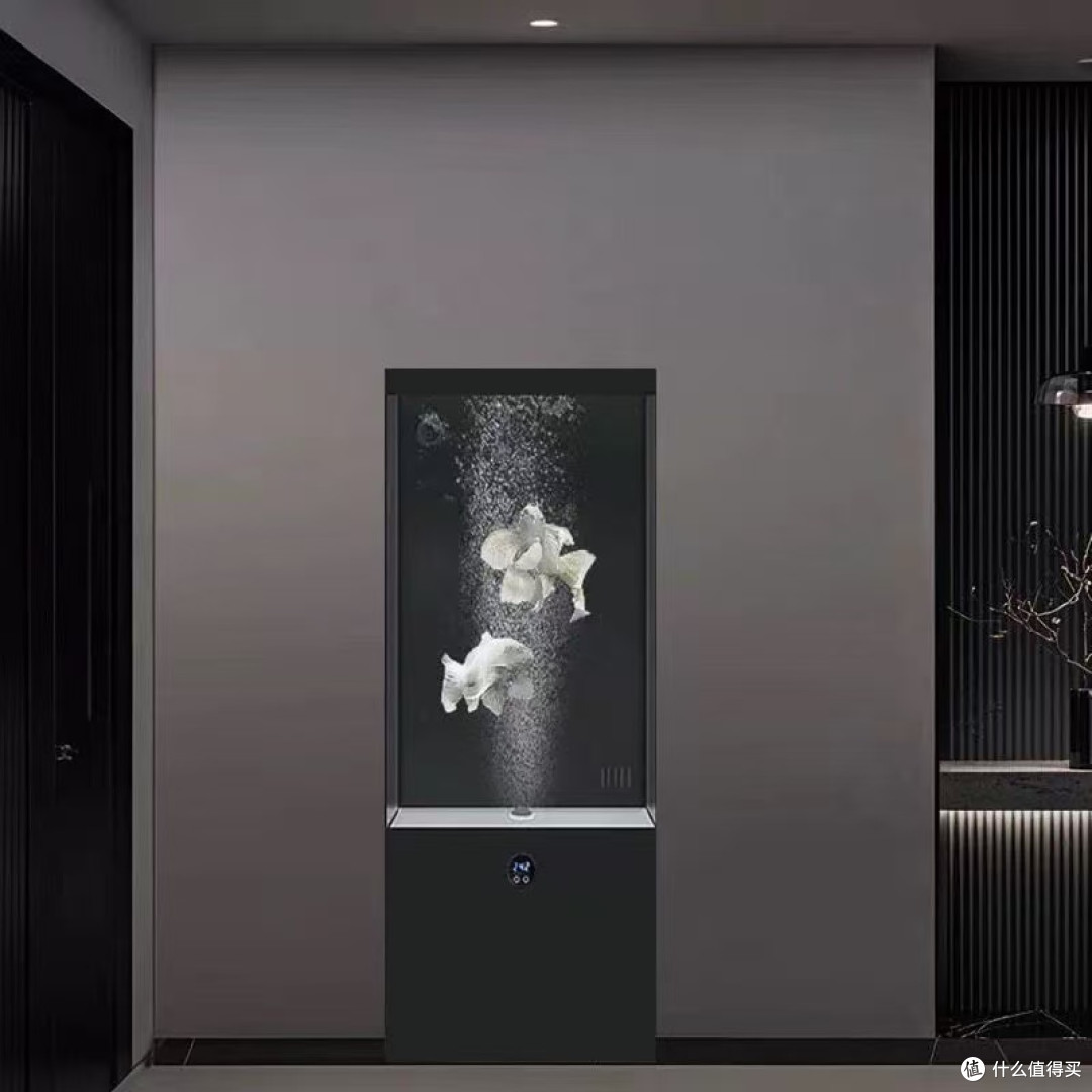 真免换水！懒人养鱼快乐水