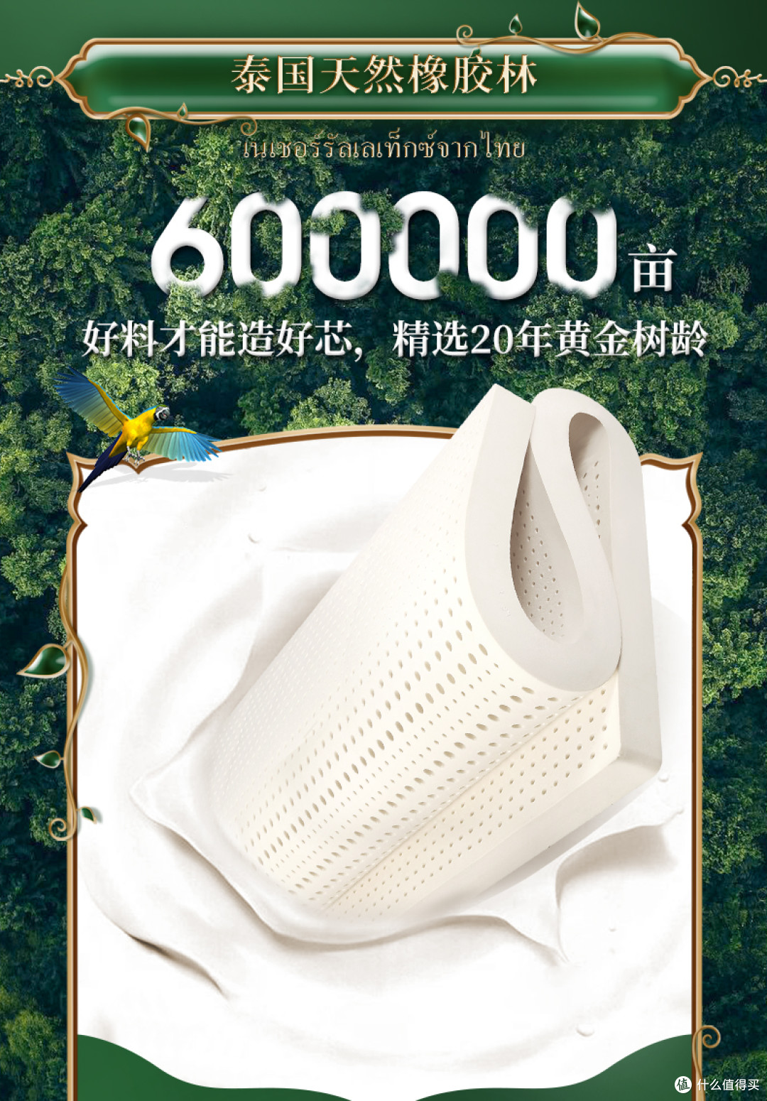 乳胶床垫选厚度的4个常见误区！5cm和10cm别乱选，选错越睡越累