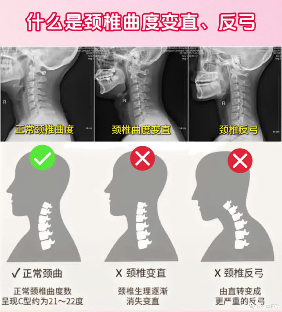 图片来自网络，侵删
