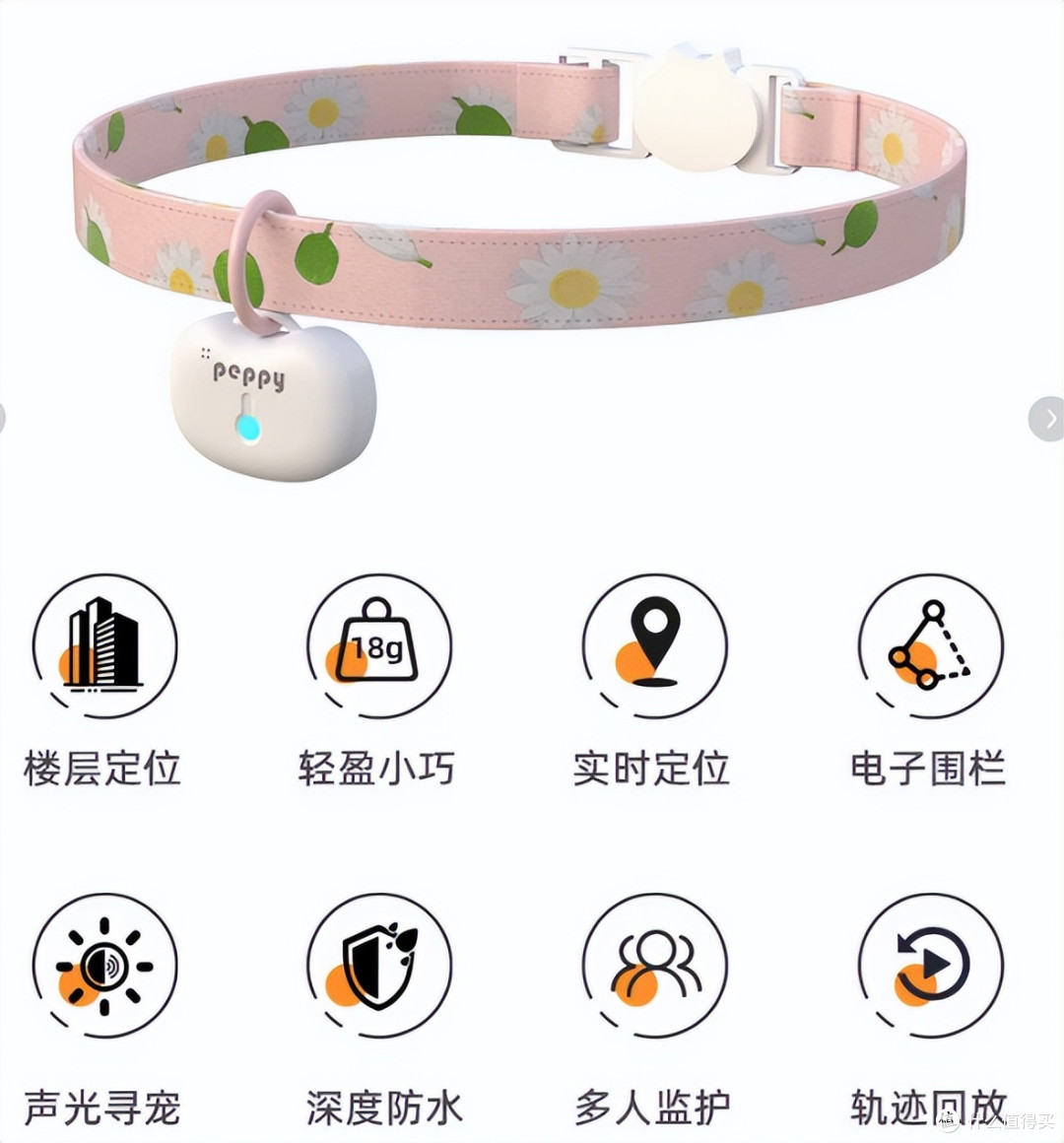 明明猫咪比狗狗更需要定位器｜猫咪 GPS宠物定位器 完整选购指南