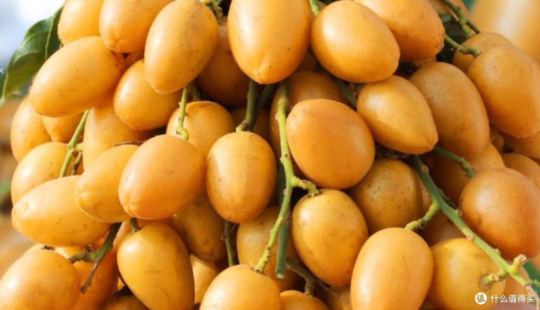 小暑过后,多吃 5 种 “黄金果”,生津润燥,应季而食身体棒