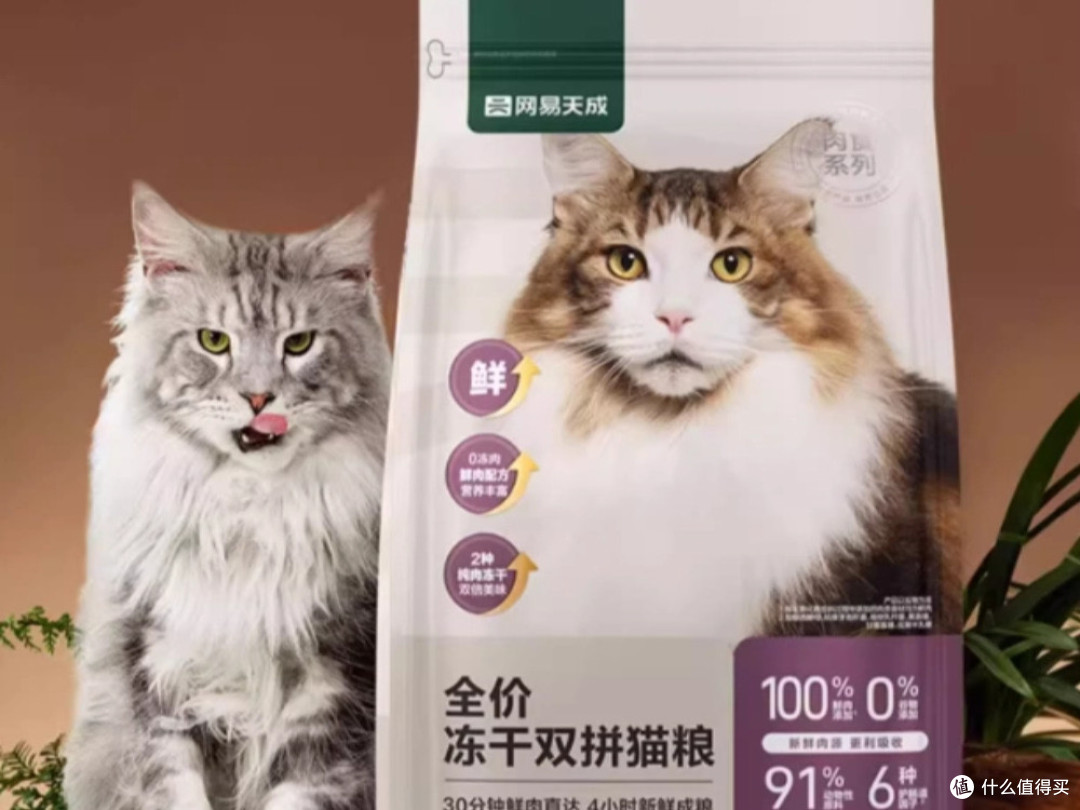 什么牌子的猫粮好?盘点2026猫粮排行榜前十名哪款值得入手