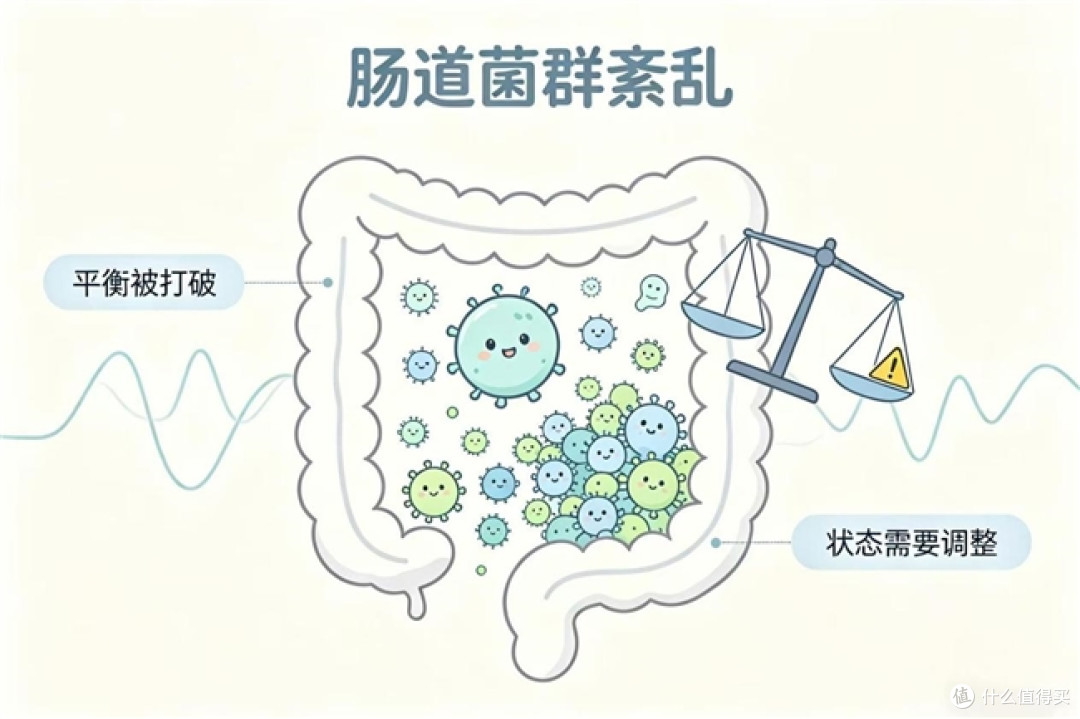 益生菌哪家好?六大益生菌品牌客观横评,肠胃敏感人群对照参考