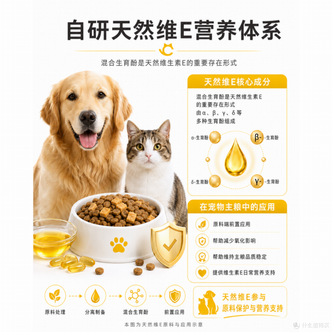 猫粮开封后容易有油耗味怎么办？从自研天然维E体系到分阶段营养