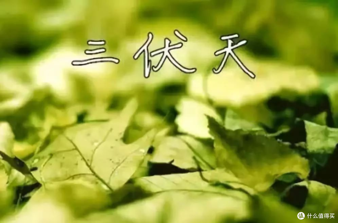 进入三伏天，中老年人谨记：坚持3多吃3少吃，顺应时节，安稳度夏