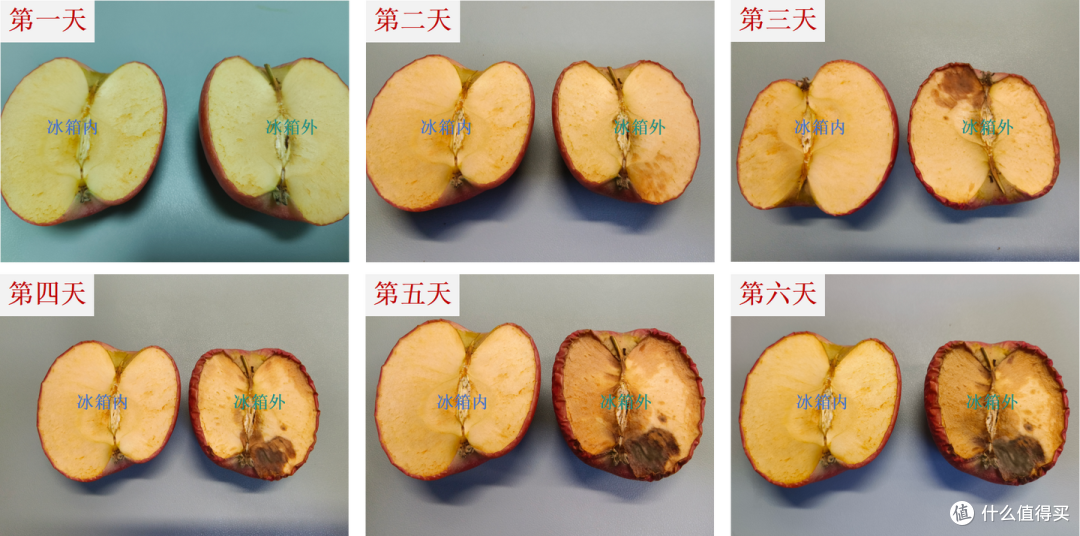 600L大容量+双系统怎么选?美的熊墩墩6款型号全网最细对比!
