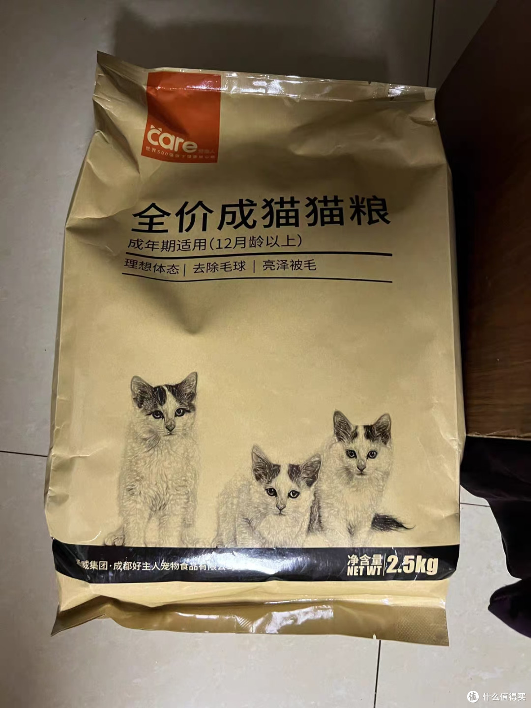 🐱室内成猫发腮美毛秘籍！好主人这款猫粮绝了✨
